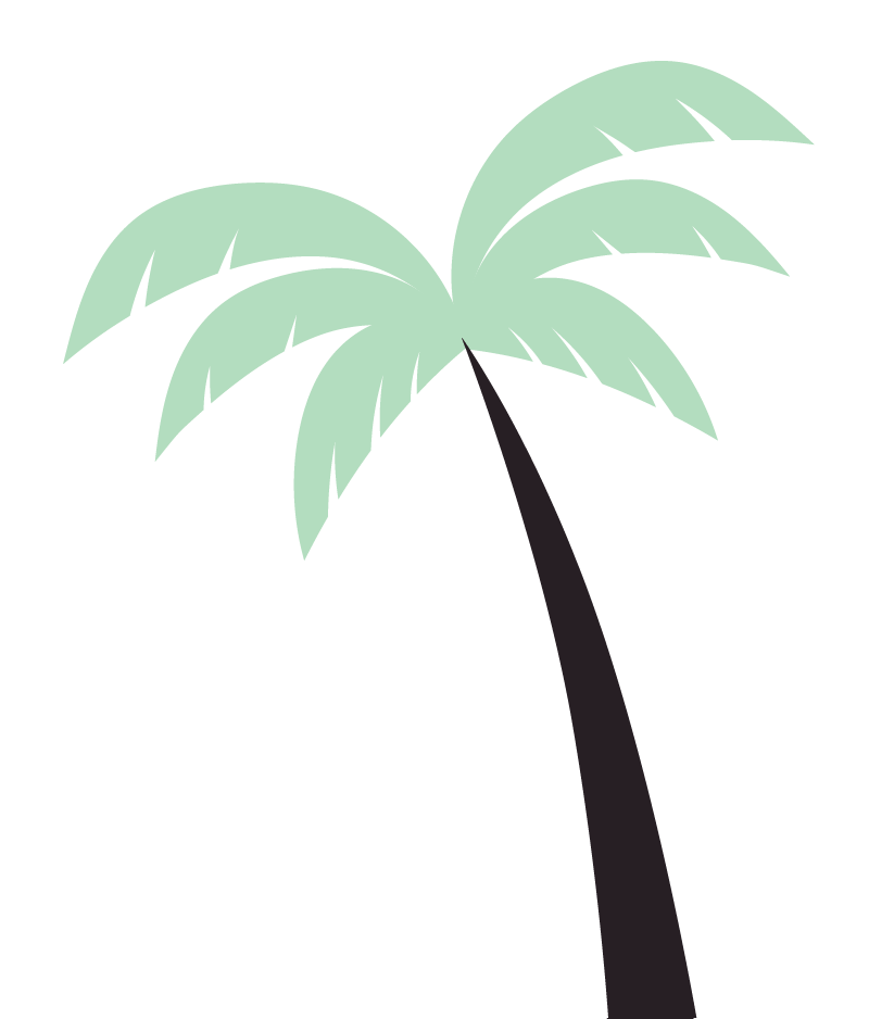 palm tree