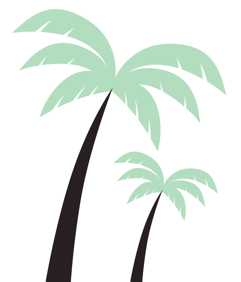 palm trees