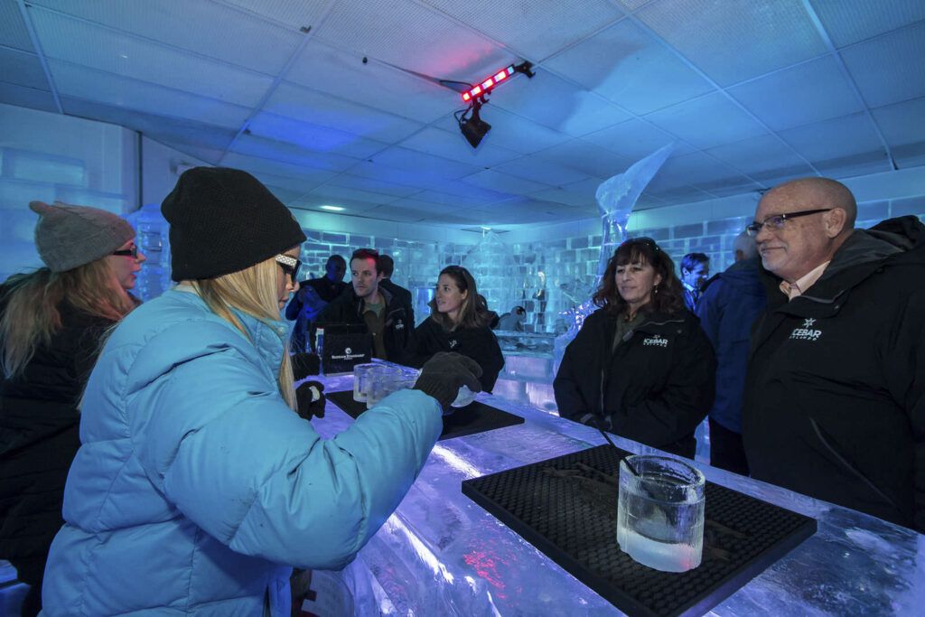 icebar venue image
