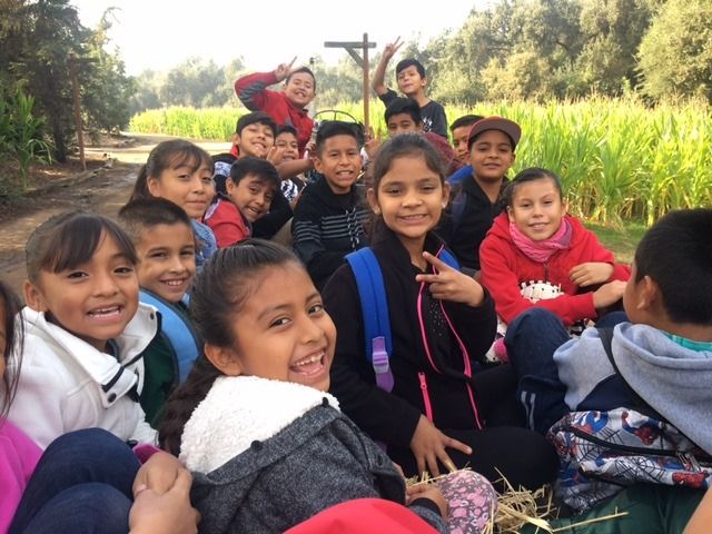 group of students on a hayride||Selma USD case study PDF